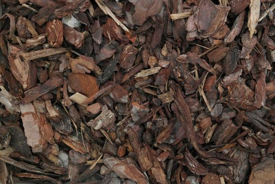 Écorce de pin 20/80 – Sac 40 L – PRADIER